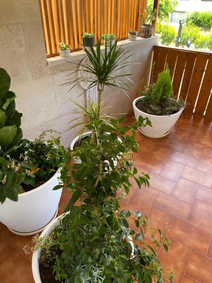 Pombal Suite Pombal (Leiria) Exterior foto